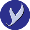 YMagnify